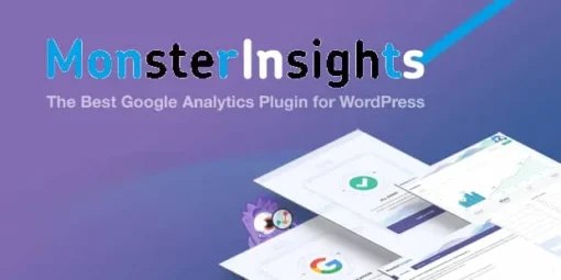 Google Analytics MonsterInsights WordPress Plugin | Best Google Analytics Plugin