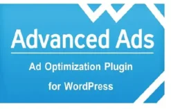 Advanced Ads Pro