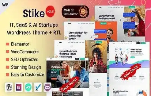 Stike Theme GPL – IT Business Startup Company WordPress Websites