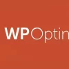 WP Optimize Premium