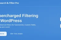 Search & Filter Pro