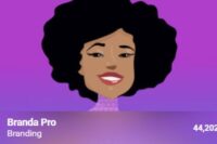 WPMU DEV Branda Pro Plugin GPL