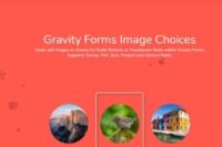 Gravity Forms Image Choices