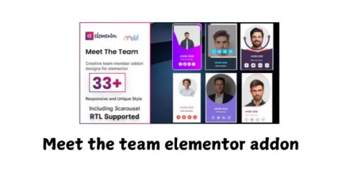 Meet the team elementor addon GPL v2.8