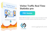 Visitor Traffic Real Time Statistics Pro
